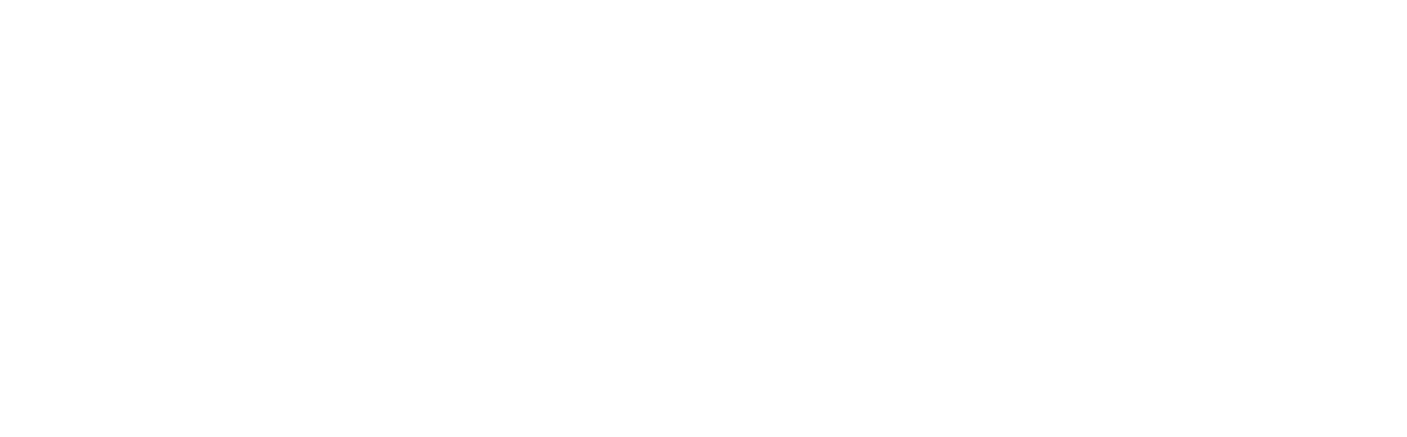 rapidlogic logo white wide